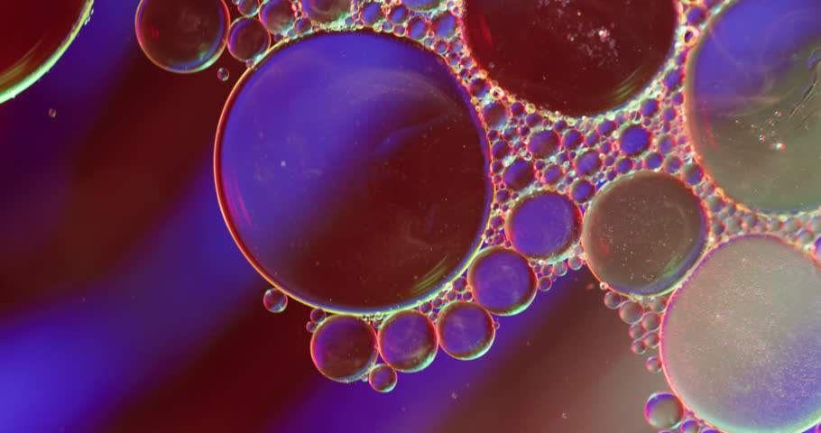 Animation of bubbles moving on red and blue background with copy space. Pattern, movement and color concept digitally generated video.