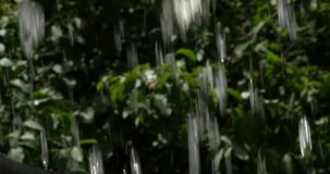 Waterfall near Rocamadour in the Lot, in the South West of France, Slow Motion 4K