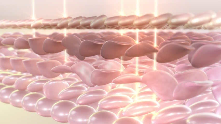 UV light damages the skin. Sunlight is broken down by the skin. 3D animation | Shutterstock HD Video #1101370919