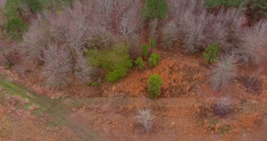 Aerial of wooded forest area in Eatonton, Georgia