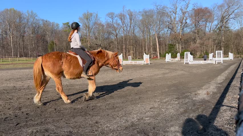 Tanglewood park horseback jumping in clemmons NC near Winston Salem NC