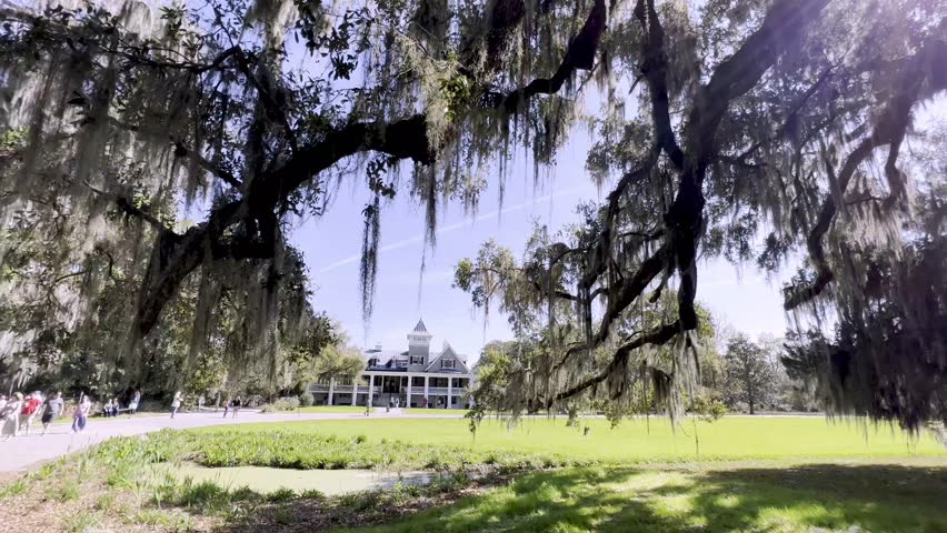 wide shot through the live oaks of magnolia gardens in charleston sc, south carolina