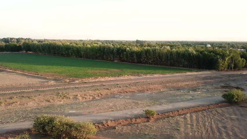 Aerial wide view of railway line row of maple trees train in the road in summer time sunset shadow green scene and scenery landscape of transportation agriculture in the natural farm field industry
