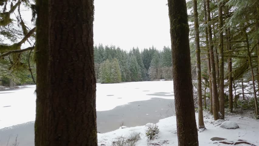 Scenic Hiking Trail in Forest with white snow by Rice Lake. North Vancouver, British Columbia, Canada. Winter Season