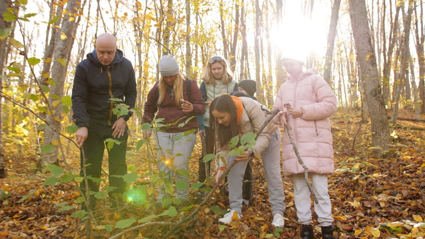 Two families with children in the autumn forest in search of mushrooms. Quiet hunting.
