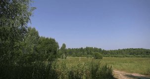 4K bright summer day high quality video of lush bright green countryside forest and fields in rural village outskirts
