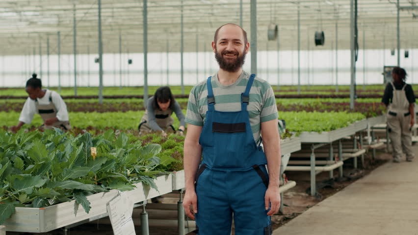 Portrait of caucasian farmer in organic food farm posing confident while diverse pickers gather organic lettuce in greenhouse. Smiling man in hydroponic enviroment with workers inspecting plants. | Shutterstock HD Video #1101410529