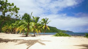 Hawaiian island palm beach. Summer holidays on a paradise tropical sea coast. Coconut palms stand on a beautiful golden sand beach by the clear blue calm sea on a sunny day. Cruise.