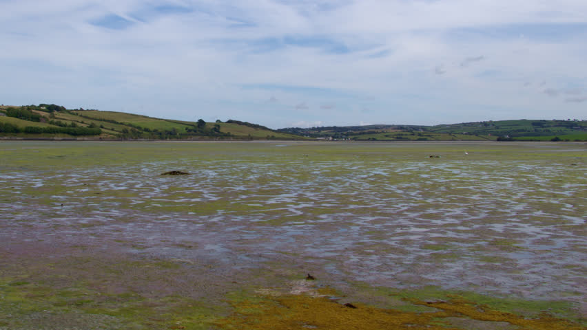 A vast and spectacular tidal marshland in the southern reaches of Ireland, nature