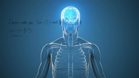 Animation of mathematical sums and diagrams over illuminated digital brain in human body. Digitally generated, hologram, illustration, solutions, anatomy, artificial intelligence and technology. - Powered by Shutterstock - Get 15% off with code: PIKWIZARD15