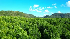 Experience the breathtaking view of a lush mangrove forest with a stunning background of a blue sky and mountains captured by drone. Thailand. Tropical forest and nature concept. 4K Drone
