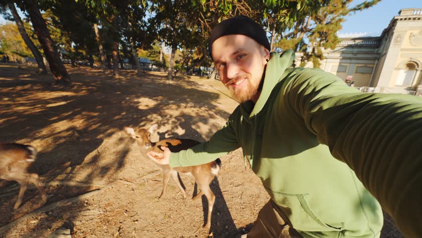 Young Bearded Man Feeding Deers With Acorns In Nara Park, Japan. 4K Selfie Footage.