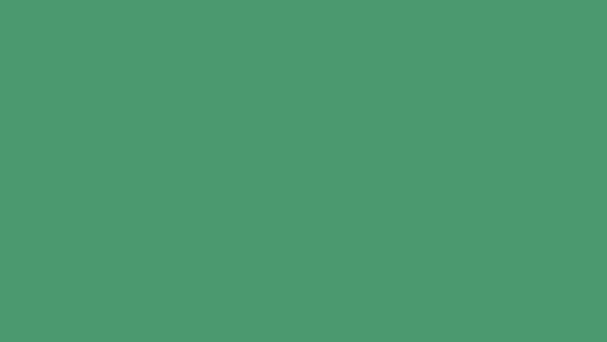 Dynamic cartoon animation of kayak on a green background. The picture appears and disappears. Turbulent displace and distortion style 4k video.