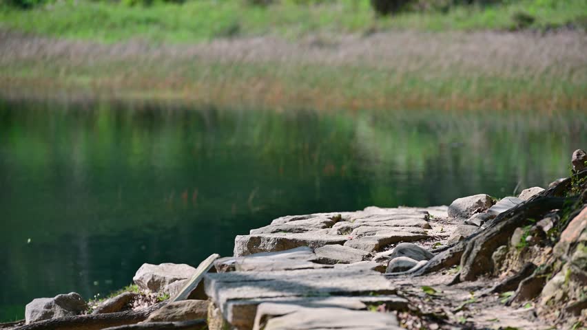 A lakeside walkway made of stone, with old tree roots on the dirt. Spring is the best time for walking trails and lake tours. Xinshan Dream Lake, Taiwan