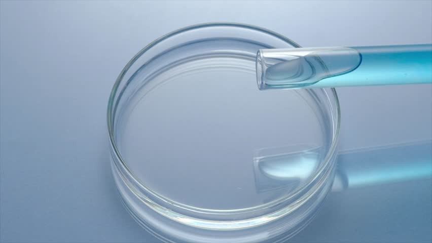 Slow motion scene of blue solution from a test tube pouring into a clean petri dish on blue background. laboratory equipment - concept of medicine or cosmetic research
 Royalty-Free Stock Footage #1101435639