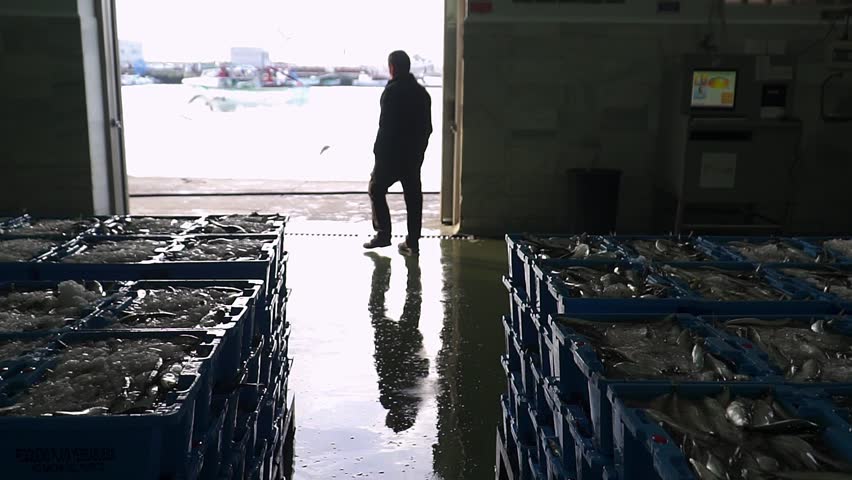 Man with his back silhouetted walking towards the door of a warehouse of stacked boxes of fish. Royalty-Free Stock Footage #1101451251