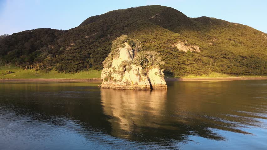 Zooming out from Te Maunga Tohora, beautiful reflection in the ocean and a swooping seagull