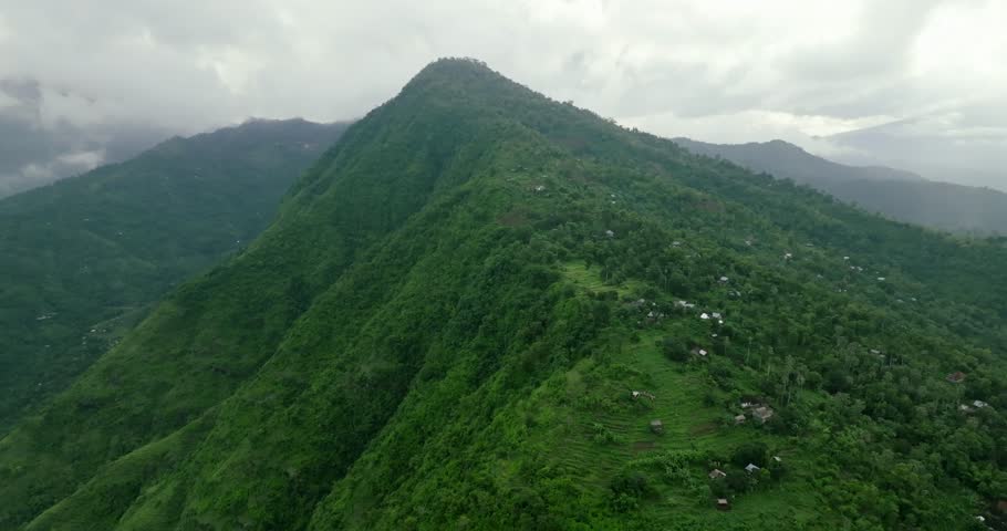 Foggy landscape tropical rain forest jungle island Bali on background majestic