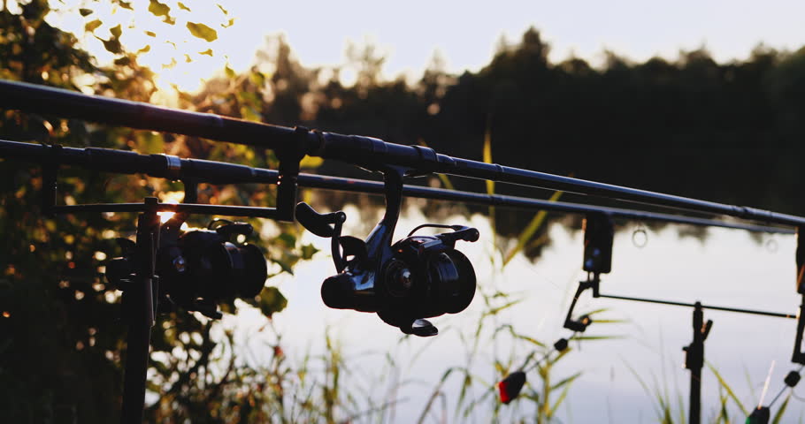 Fishing rods set up for carp fishing near serene lake at sunset with modern equipment, alarms included. Everything ready for successful angling experience. Ideal for spring, summer, fall recreation