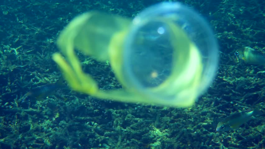 Plastic bag and cup floating in the ocean water with a fish and coral reef in background. Ecosystem of oceans. Marine wildlife underscores the ecological problem of ocean pollution