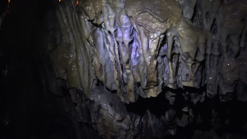 Close-up macro of moss on moist limestone layers on damp cave wall.