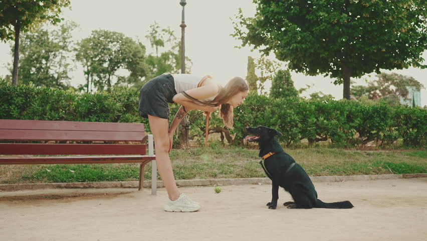 Smiling girl walks and plays with her pet in the park. Trains his dog. Girl petting and kissing her pet