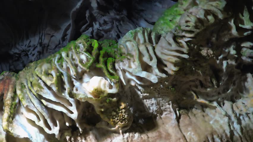 Close-up macro of moss on moist limestone layers on damp cave wall.