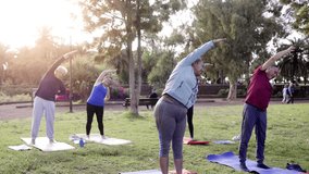 Senior sport people exercising during yoga workout class outdoor at park city - Fitness joyful Elderly lifestyle - Powered by Shutterstock - Get 15% off with code: PIKWIZARD15