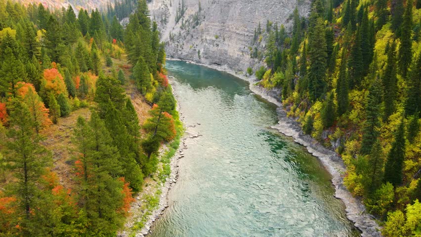 Flying over the Snake River in Wyoming, surrounded by trees turning their fall colors