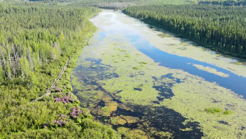 Flying over a river and forest in Northern Minnesota.