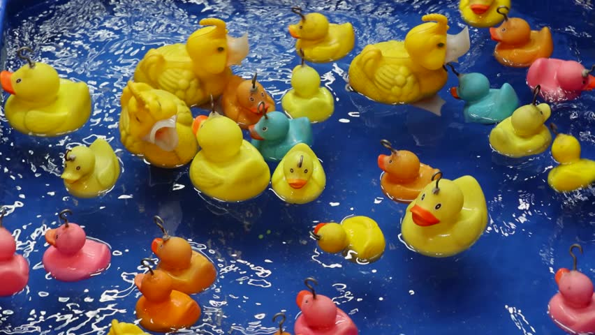 Rubber Ducks Fishing in Pool of Water Amusement Park Game Royalty-Free Stock Footage #1101513345