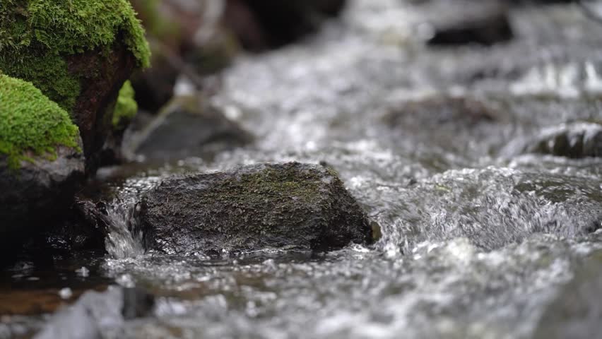 Tranquil Stream in Pristine peaceful Woods of Sweden: Calming Nature Footage for Wellness, Yoga, Stress-relief and sleep Videos.