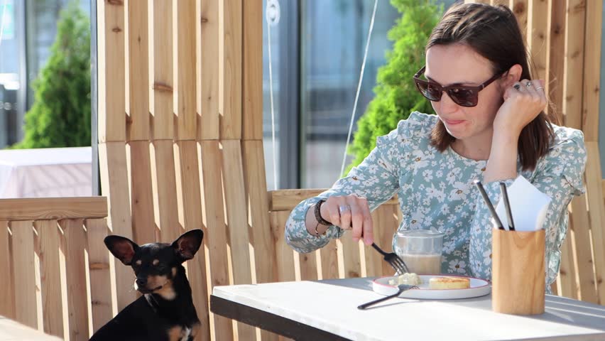 Young woman is feeding her beloved little dog with food from her fork at dog friendly street cafe, 4K footage