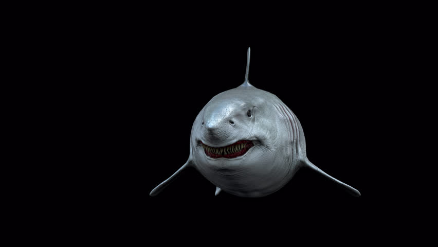 Megalodon Shark Loop 3D Animation Video Transparent Alpha