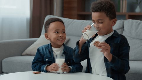 Two little African American boys kids ethnic adopted hungry children drink milk eat cookies at home living room siblings drinking milky beverage eating pastry childcare health care healthy nutrition Video Stok