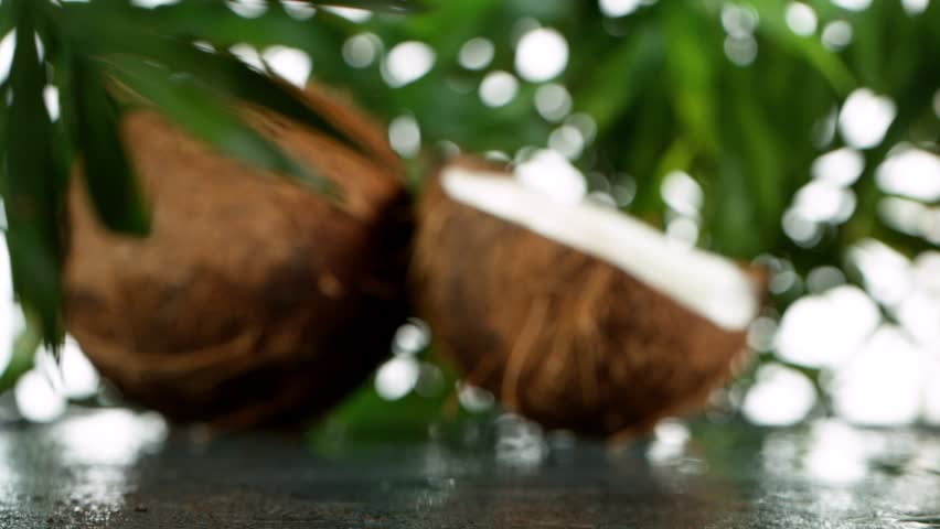 Super Slow Motion Shot of Milk Splashing on Coconut, Filmed on High Speed Cinematic Camera at 1000 FPS Royalty-Free Stock Footage #1101538261