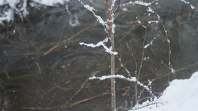 Wintering springs in snowfall 4k