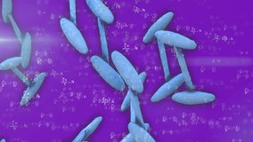 Animation of dna strand spinning and mathematical data processing over purple background. Global education, science, computing and data processing concept digitally generated video. - Powered by Shutterstock - Get 15% off with code: PIKWIZARD15
