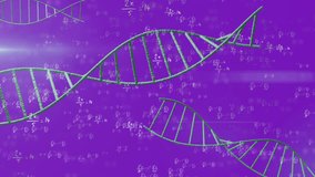 Animation of dna strands spinning and mathematical data processing over purple background. Global education, science, computing and data processing concept digitally generated video.