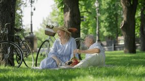 Cheerful couple in their 60s joking and laughing during picnic in summer park - Powered by Shutterstock - Get 15% off with code: PIKWIZARD15