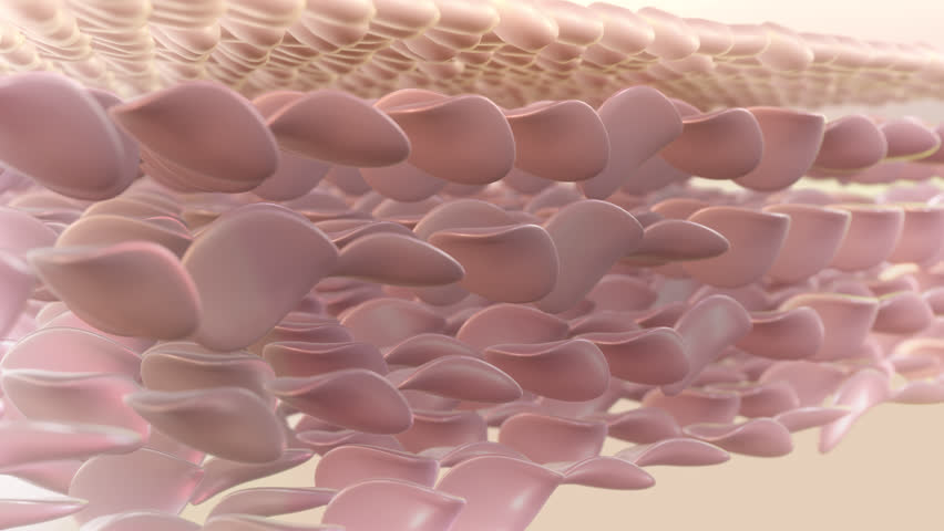 Serum into the skin layer and lift up sagging skin cells. the micro-skin structure has been deeply whitened. Close-up of a skin layer demonstrating cell healing. 3D animation Royalty-Free Stock Footage #1101549483