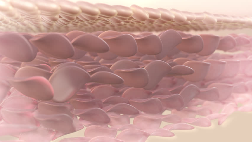 Serum into the skin layer and lift up sagging skin cells. the micro-skin structure has been deeply whitened. Close-up of a skin layer demonstrating cell healing. 3D animation | Shutterstock HD Video #1101549483