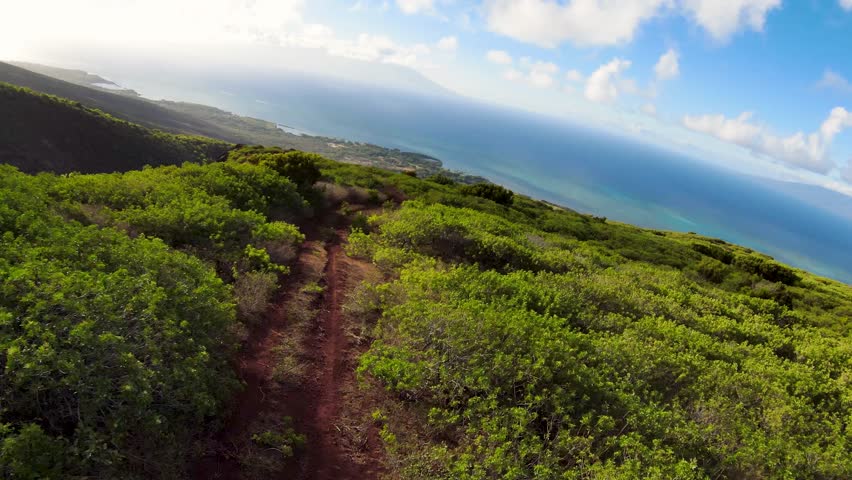Flying low enjoying the breathtaking aerial view from a path that cuts through the lush undergrowth towards the turquoise blue ocean. | Shutterstock HD Video #1101551813