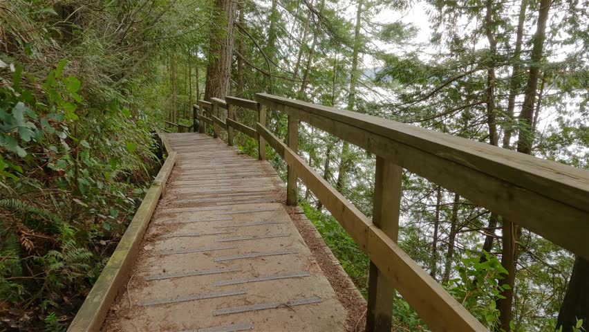 Scenic Hiking Trail in Admiralty Point Park, Port Moody, British Columbia, Canada. Vibrant Green Trees in Forest. Winter Season.