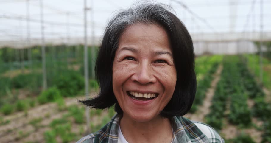 Asian senior woman smiling on camera inside farm greenhouse - Local food product and sustainable work concept