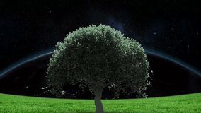 Animation of tree over globe and sky with sun and stars. Abstract background and nature concept digitally generated video.