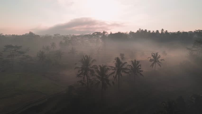 Beautiful morning in jungles with rice terraces. Sun rays visible in fog after sunrise. Aerial view, drone footage | Shutterstock HD Video #1101605537