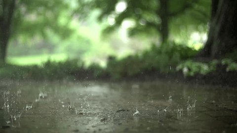 Ground level view of raindrops falling in slow motion, background with no people of rain in the forest, selective focus backdrop วิดีโอสต็อก