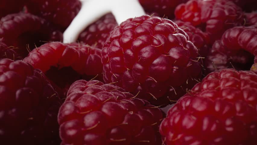 Macro video of raspberries covered with yoghurt. Shot with RED helium camera in 8K.