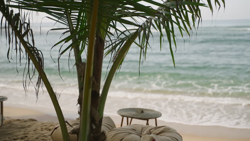 Ocean view with waves running, green palm trees and boho style cafe tables and bean bag chairs in the foreground. Remote working on laptop by the sea at exotic troppical location. Background landscape | Shutterstock HD Video #1101613923